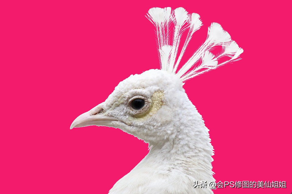 ps怎么用通道抠图大树,ps通道混合器抠图教程