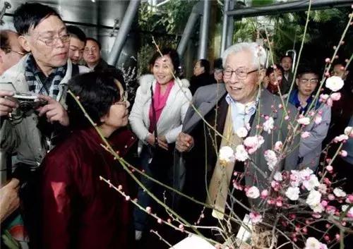 为什么牡丹是中国的国花,为什么牡丹能成为中国国花