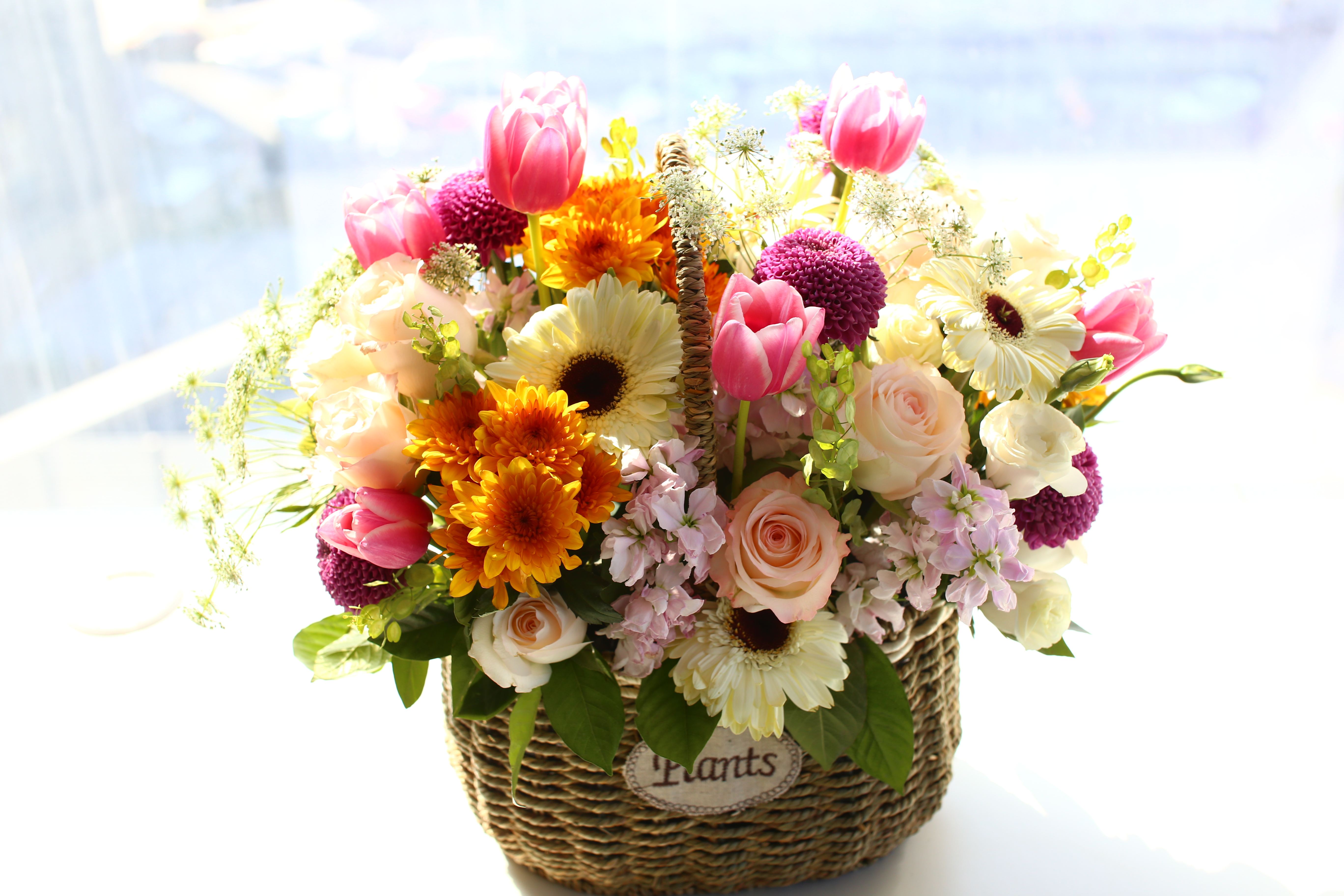 如何开好一家花店,开花店的真实经验