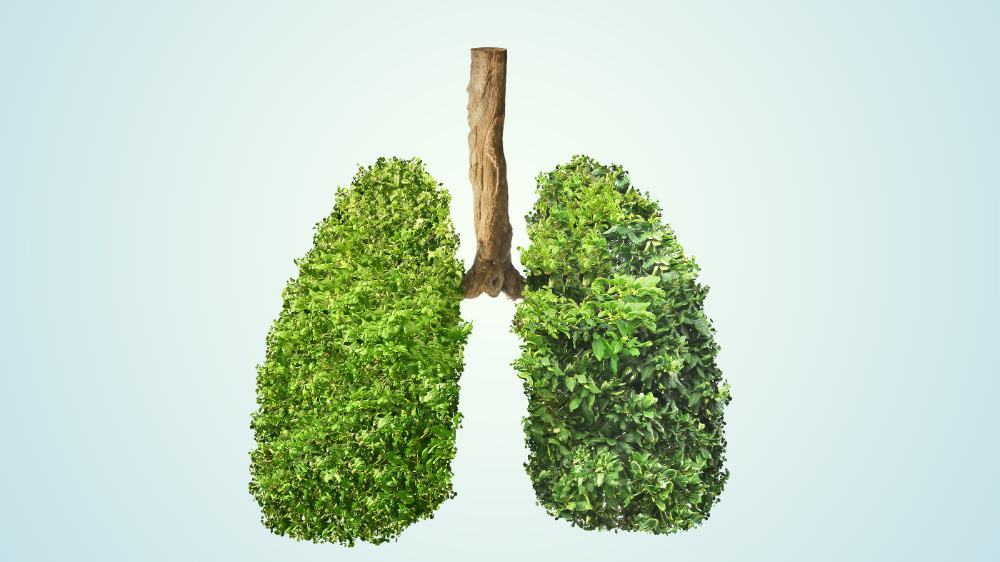 清理呼吸道,每天多笑笑——5个小妙招,帮你清清肺