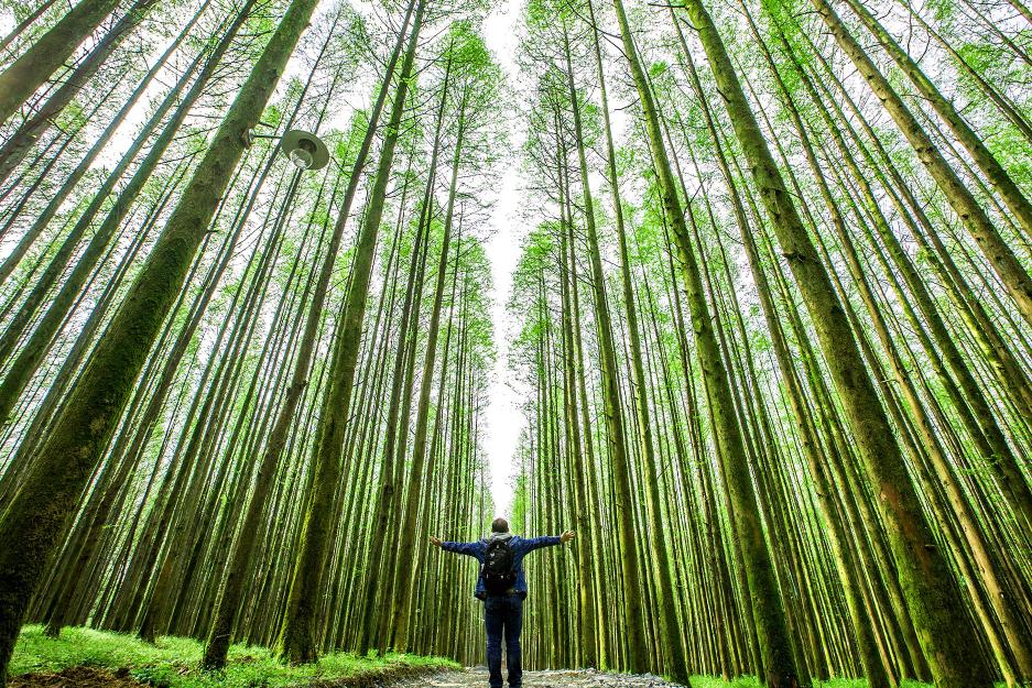 重庆之旅怎么样,重庆避暑5日游攻略从南川开始