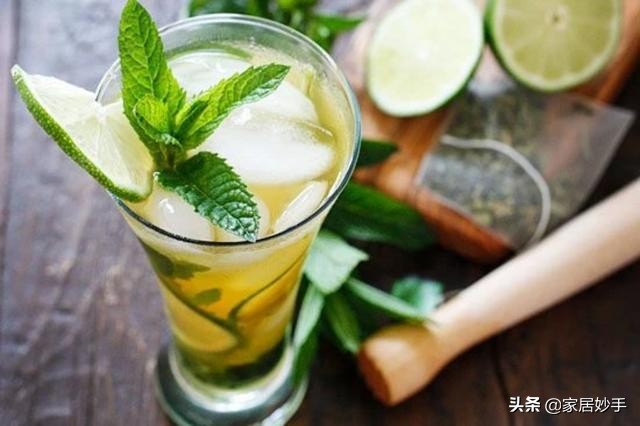 薄荷叶子变黄的原因是什么,薄荷叶子干黄