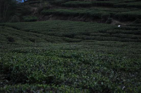 时光大师品牌加盟,时光大师加盟