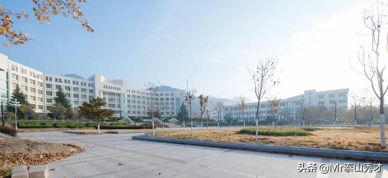 安泰学院,泰山学院最新排名