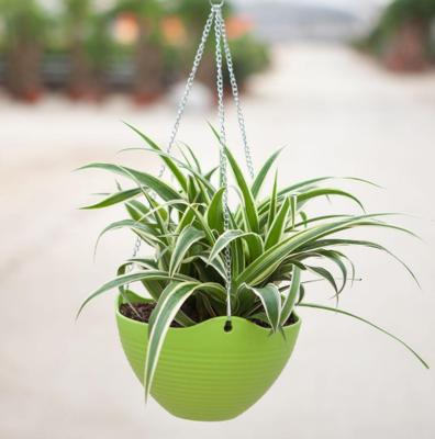 家里摆什么绿植比较好吸附甲醛,哪些盆栽吸附甲醛少一些