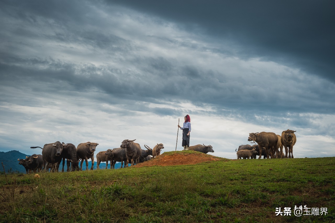 一刀一快门！他在玉上琢人生，相机里留风景
