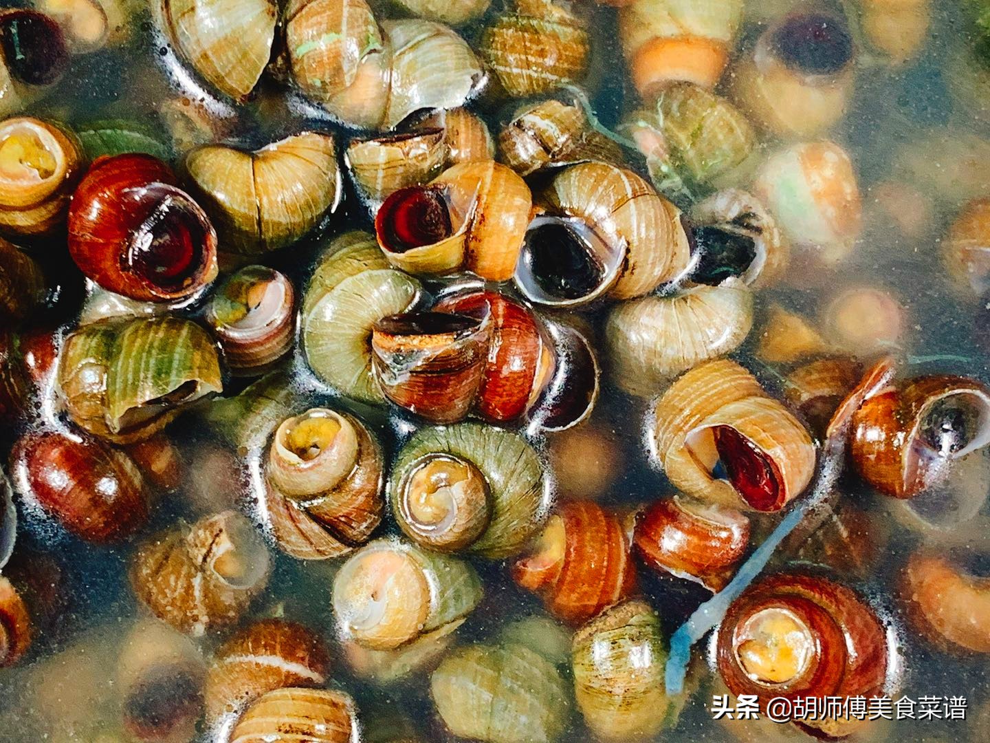 清洗田螺吐沙的方法,田螺洗的全是粘液