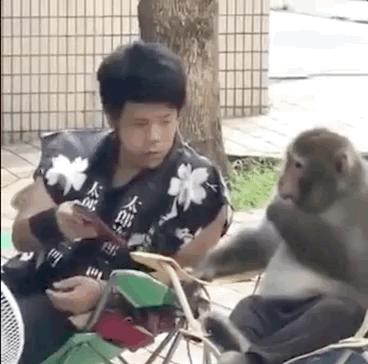 男生约会穿巴黎世家,男生遇到巴黎世家