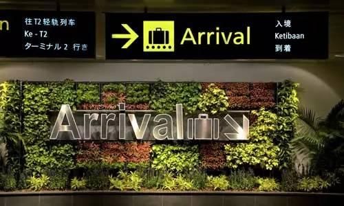 航空界的奥斯卡！2019全球最佳机场Top10，第一名竟然是它？