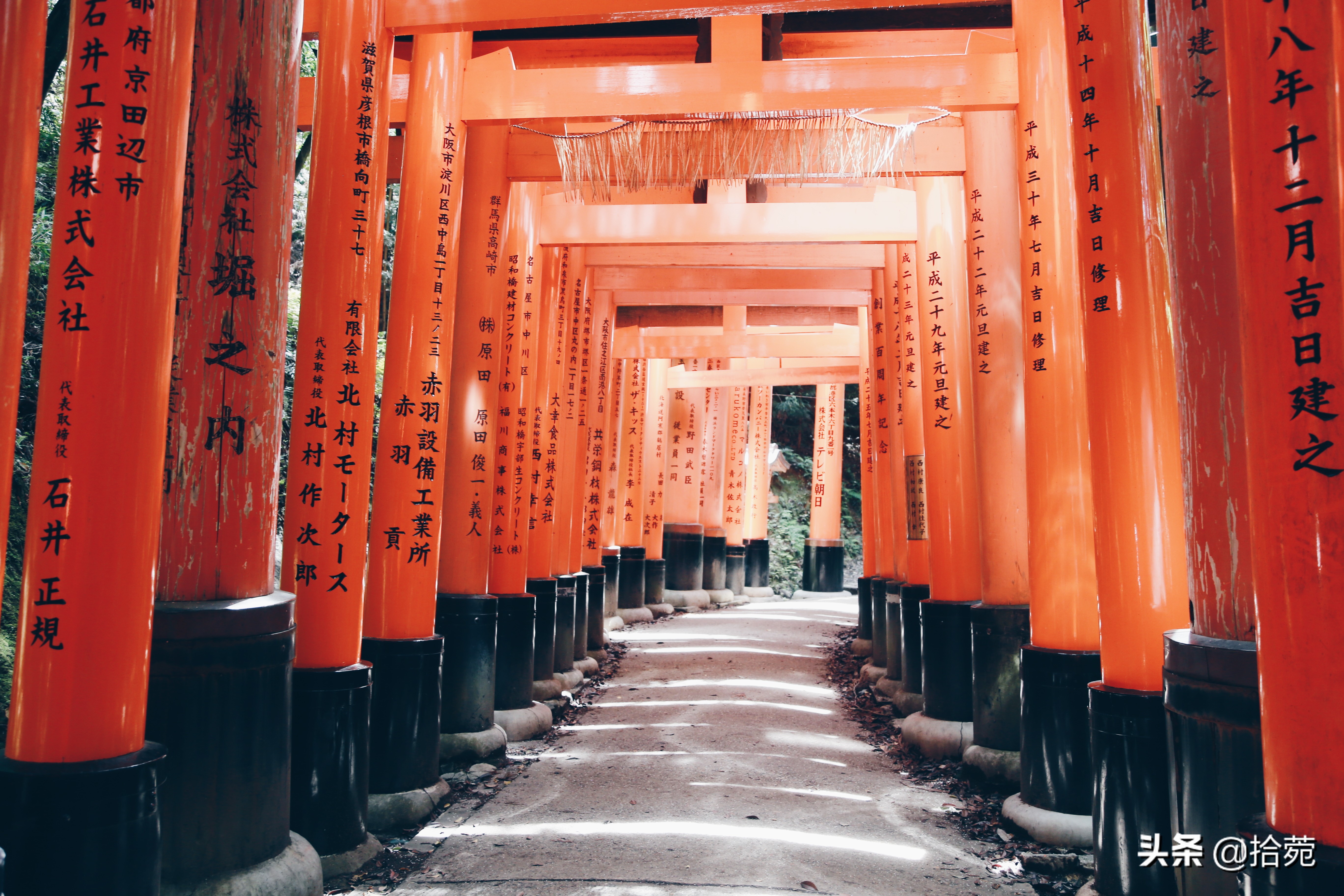 一篇带你读懂大阪周游卡，保姆级教程，独自带娃玩转大阪不是梦