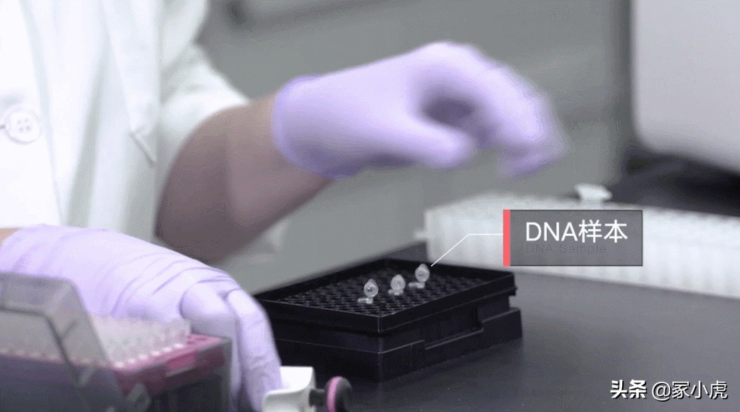 外周血能确定亲子鉴定准确性吗,亲子鉴定99%能确定吗