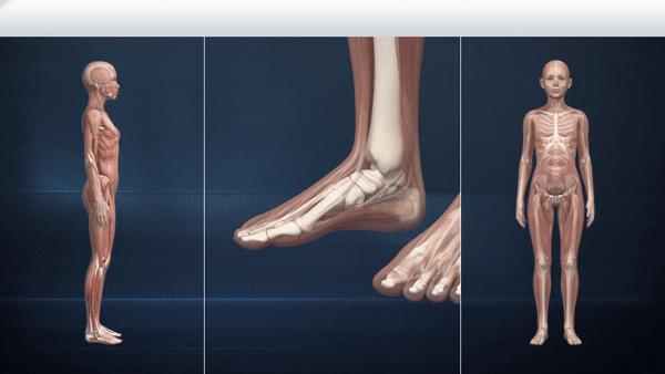 nba球星为什么抽鞋垫,nba球星鞋垫有什么秘密