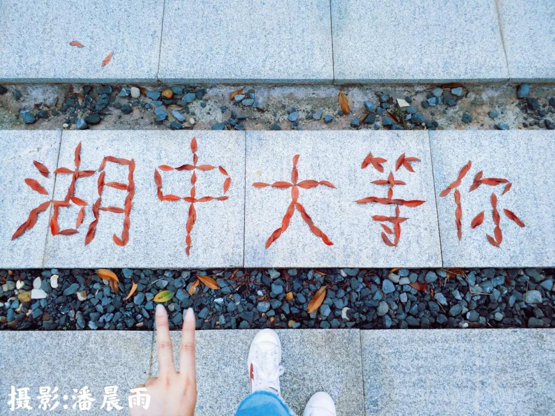 中医药文创设计大赛方案,中医药产品设计大赛作品