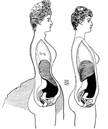 最好用的瘦腰神器 (瘦腰神器是真的有效果吗)