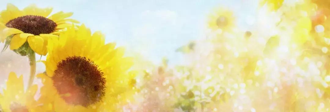 令人动容曾经支教的老师,去新疆支教老师哭了