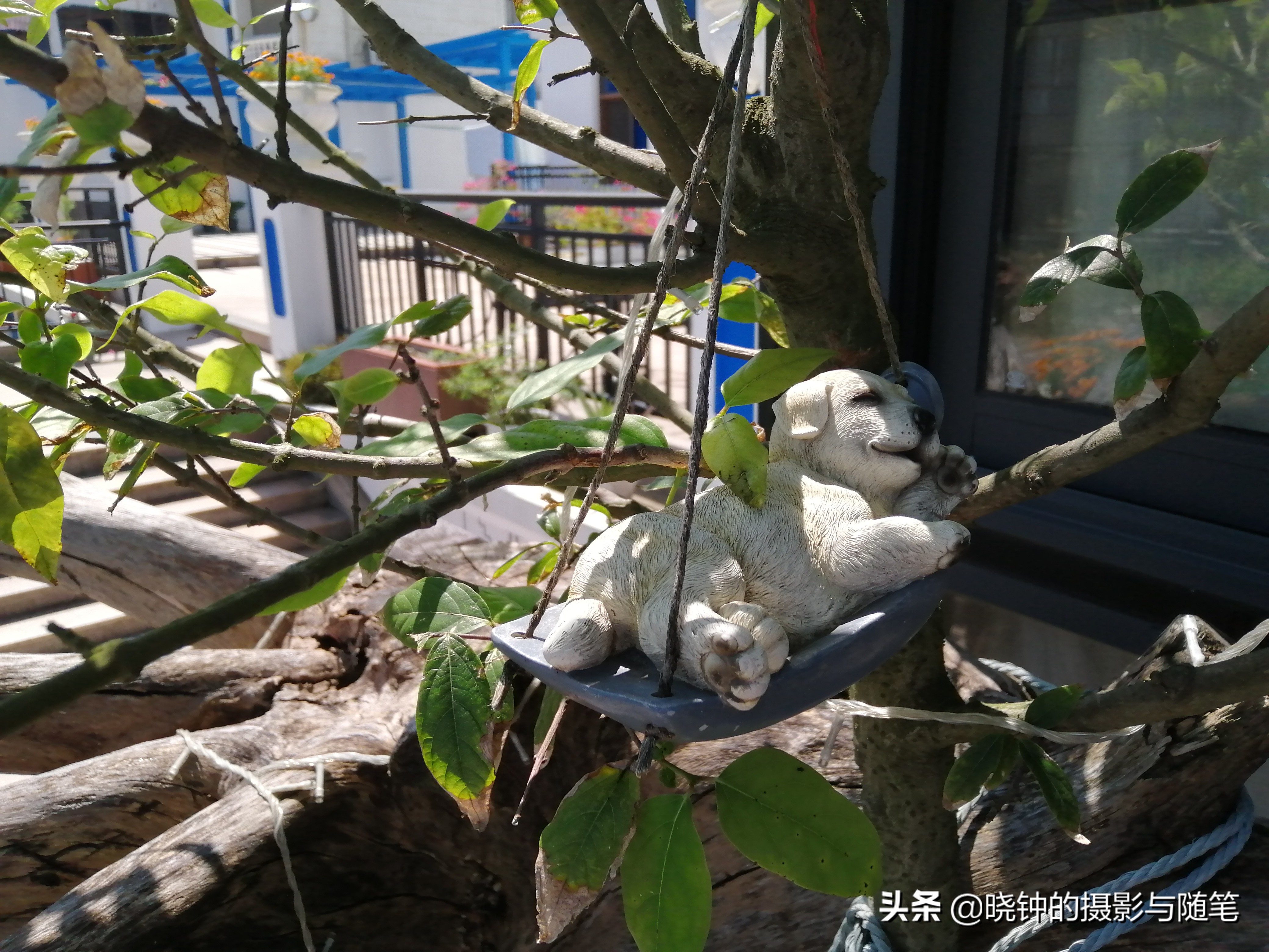 舟山海岛慢生活,生活在浙江舟山的真实感受