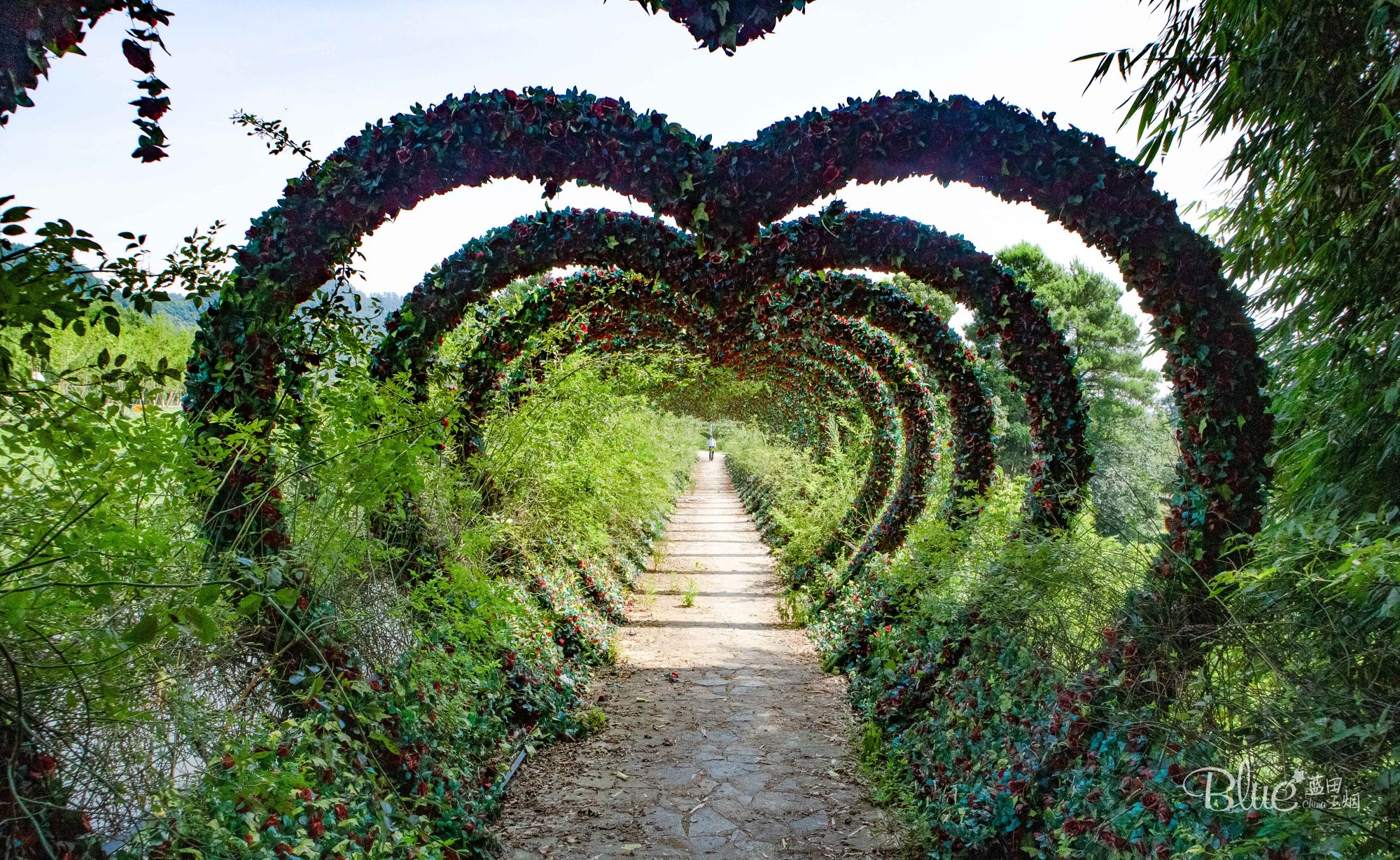 綦江横山花仙谷全景,重庆綦江看花景点推荐