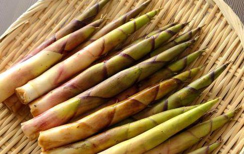 我姐从百色带回来的竹笋，很好吃，吃过就会想念，不够吃的节奏