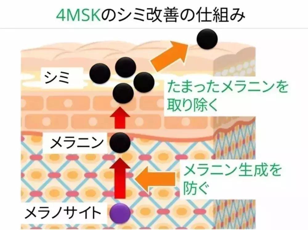 悦薇小熨斗眼霜药妆版使用方法,超级好用的一款小熨斗眼霜