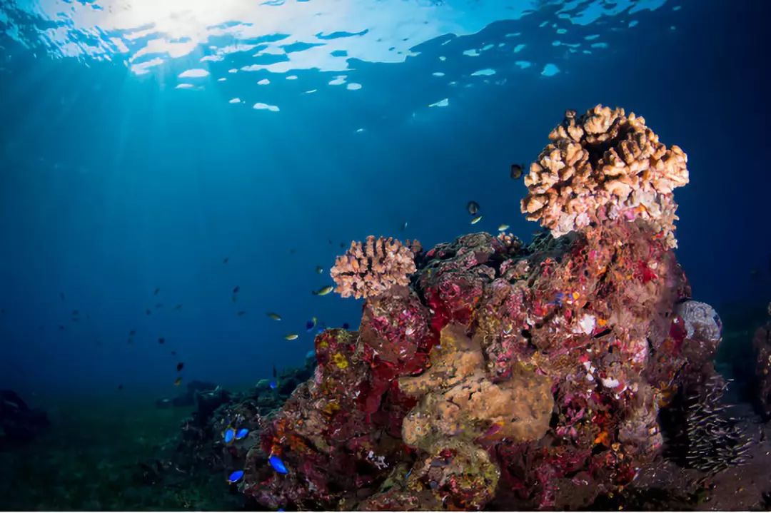 走过很多地方的诗句,走过很多地方原唱