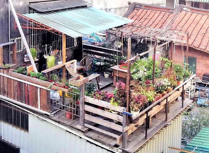 你还知道哪些植物过冬的方法,做好充足准备的好处