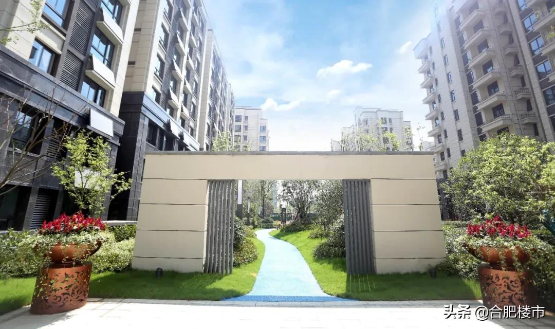 滨湖新区新盘,滨湖新区高档楼盘样板房