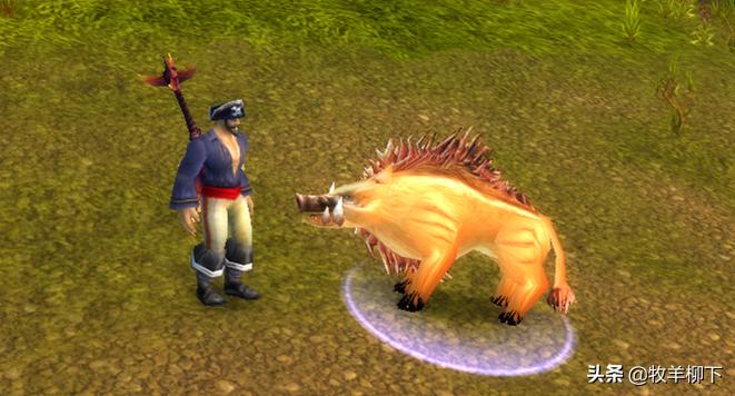 魔兽怀旧服猪学什么技能,魔兽怀旧服野猪宝宝可以学习撕咬吗