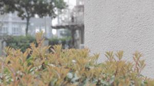 洗车神器到底值不值得买,最好用的洗车神器测评