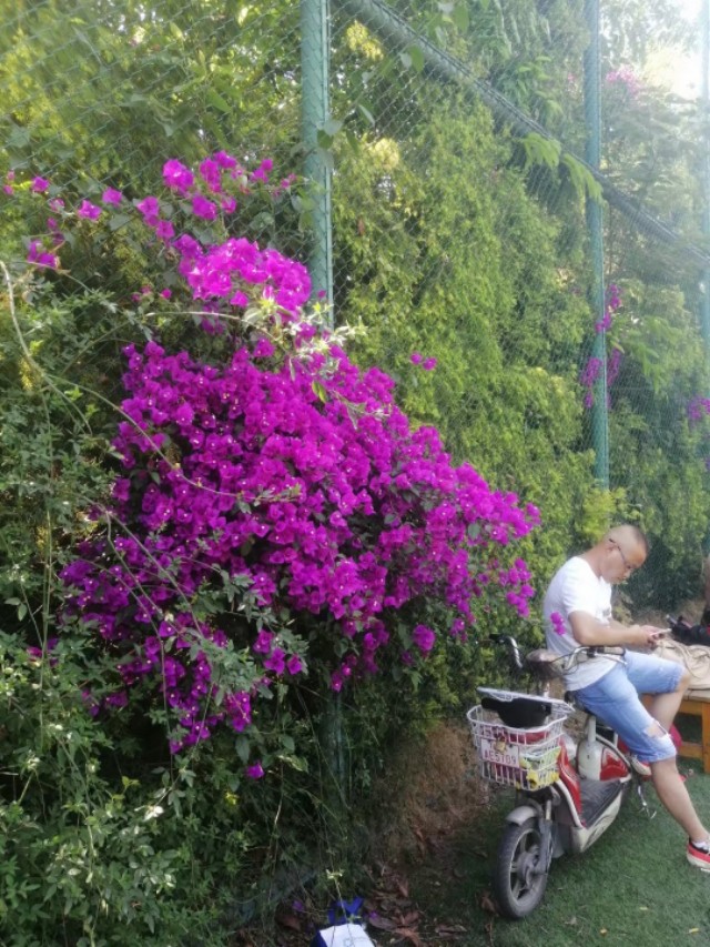 漫漫踢球路：疫情后的草根足球艰难前行，行进了派出所！