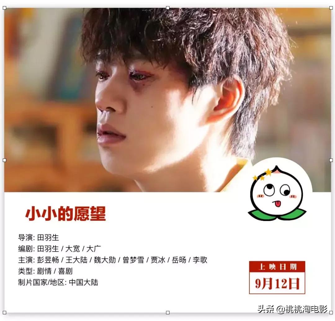 名侦探柯南开年篇合集,诛仙与小小的愿望