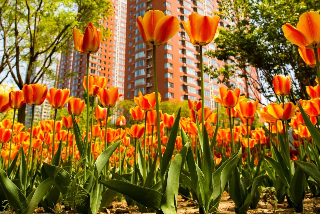 时光清浅秋意阑珊,时光清浅浮世清欢