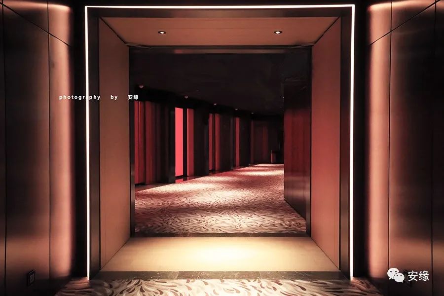 小赌王的炼金术：斥资11亿打造梦之神，澳门最喷血的娱乐巨献