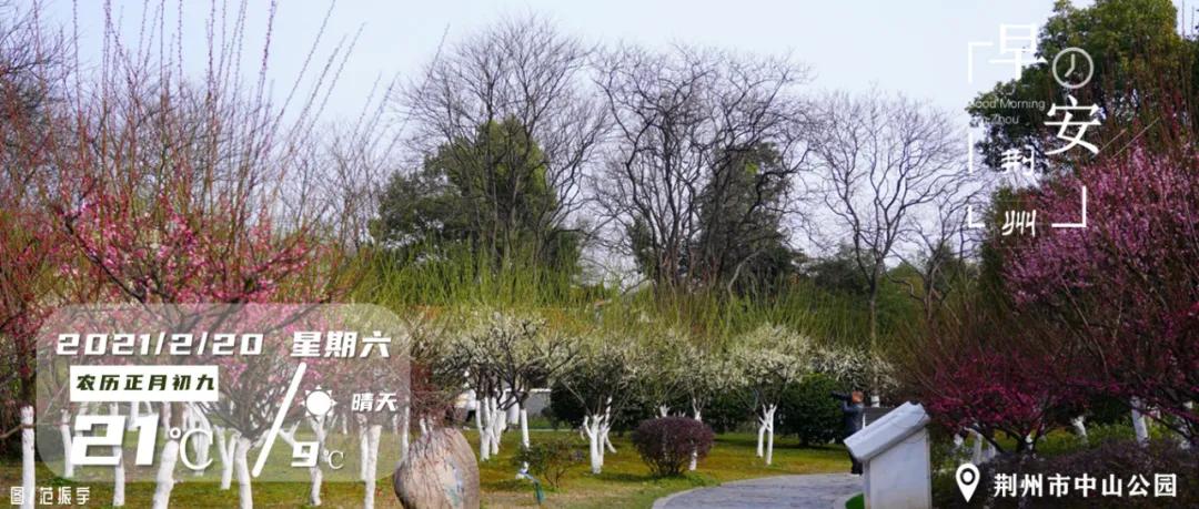 2月20日早安·荆州丨春节荆州市长热线受理诉求2155件，热点集中在这些方面