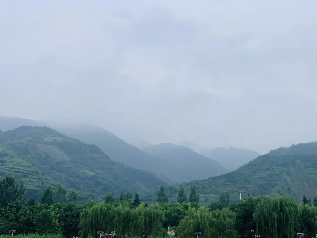 陕西丹凤葡萄酒厂西安总经销,渭南丹凤葡萄酒厂新闻报道