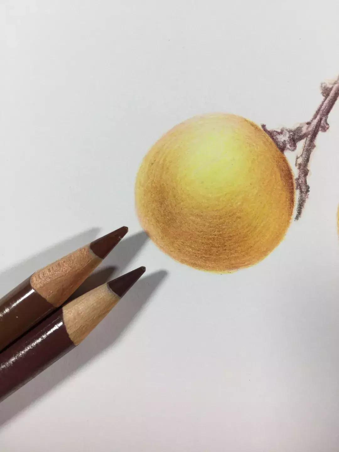 彩铅龙眼,龙眼怎么画彩铅