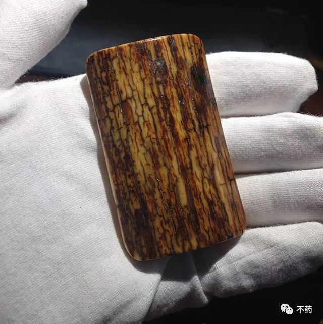 猛犸象牙为什么有这么多,猛犸象的象牙为什么不能丢