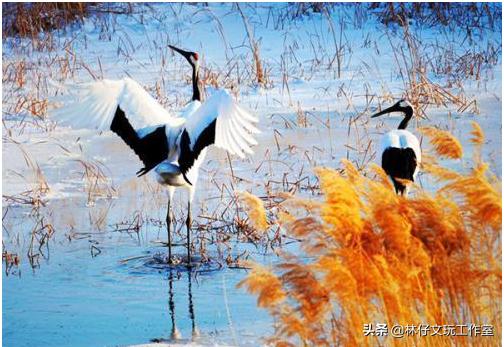 文玩天珠怎么制作的,文玩天珠制作