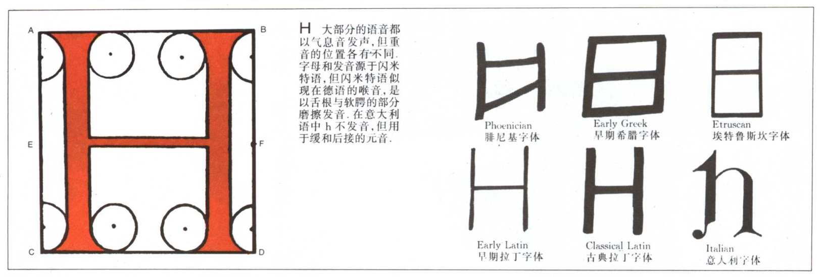 英文字母的演变示意图,26个英文字母读法视频教程