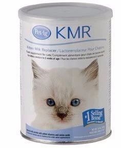 小奶猫是喝羊奶还是喝牛奶,布偶奶猫不吃猫粮只喝羊奶怎么办