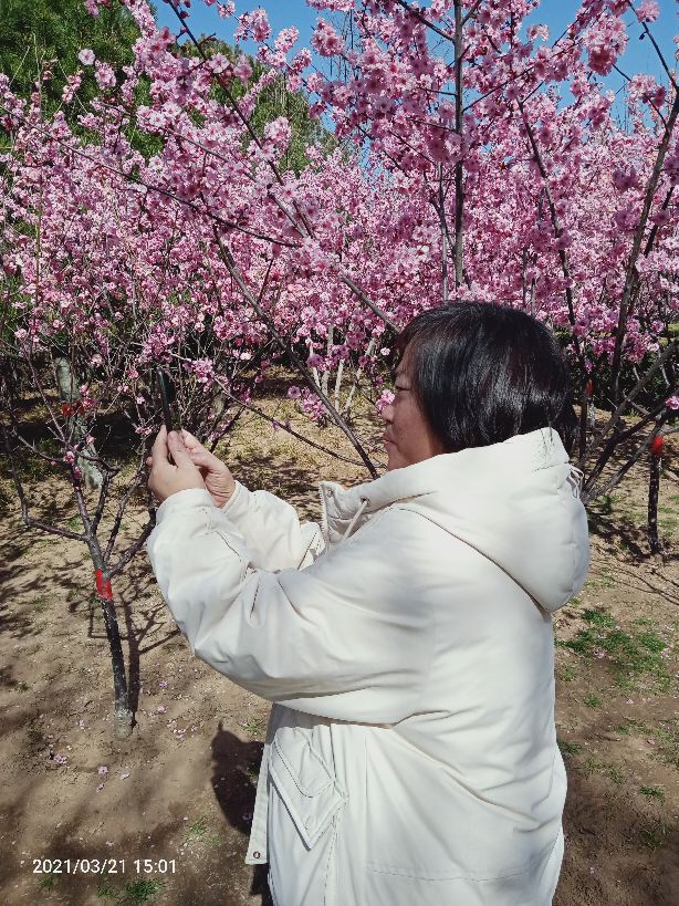 沙河美丽,沙河的天气
