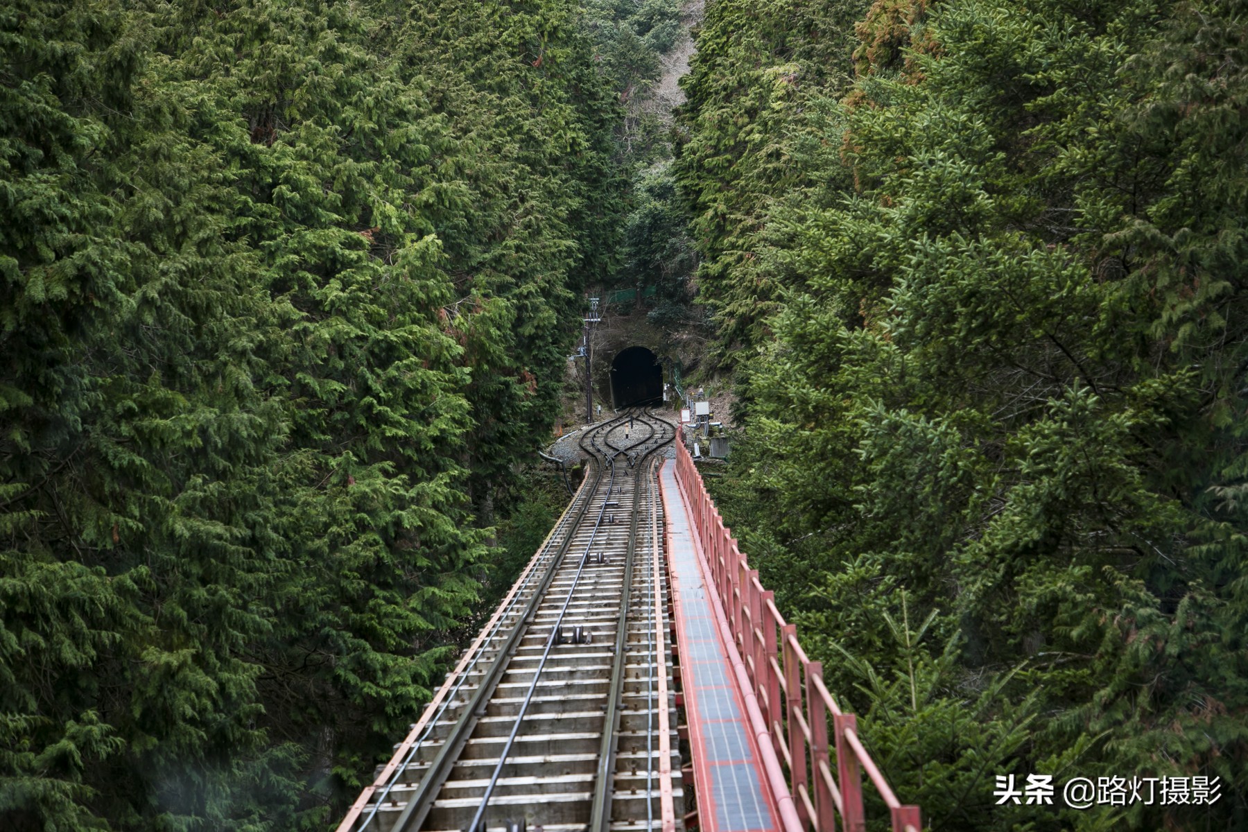 大津，不能错过的日本小众赏樱地，距离京都仅10分钟车程