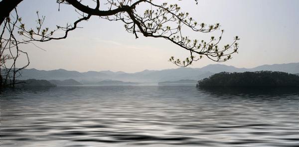 一念花开一念花落一切皆由汝心定,一念花开一念花落不做情绪的奴隶