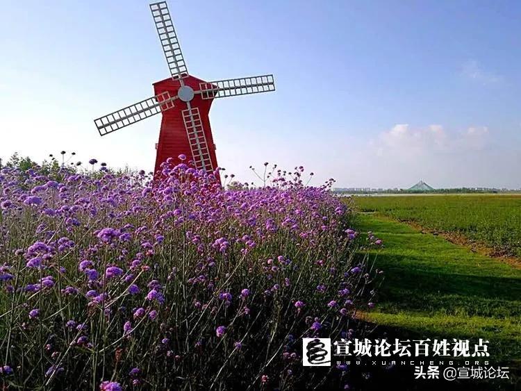 宣城二手车市场大全,宣城5万以下的二手车