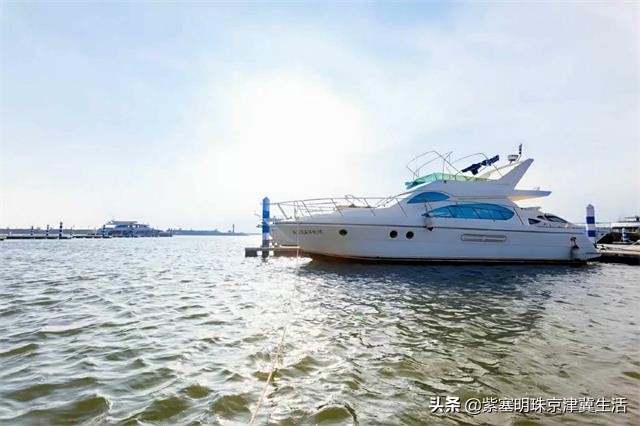 八月别来这座小岛，海鲜吃饱，大海景美唐山月坨岛009号别墅农家