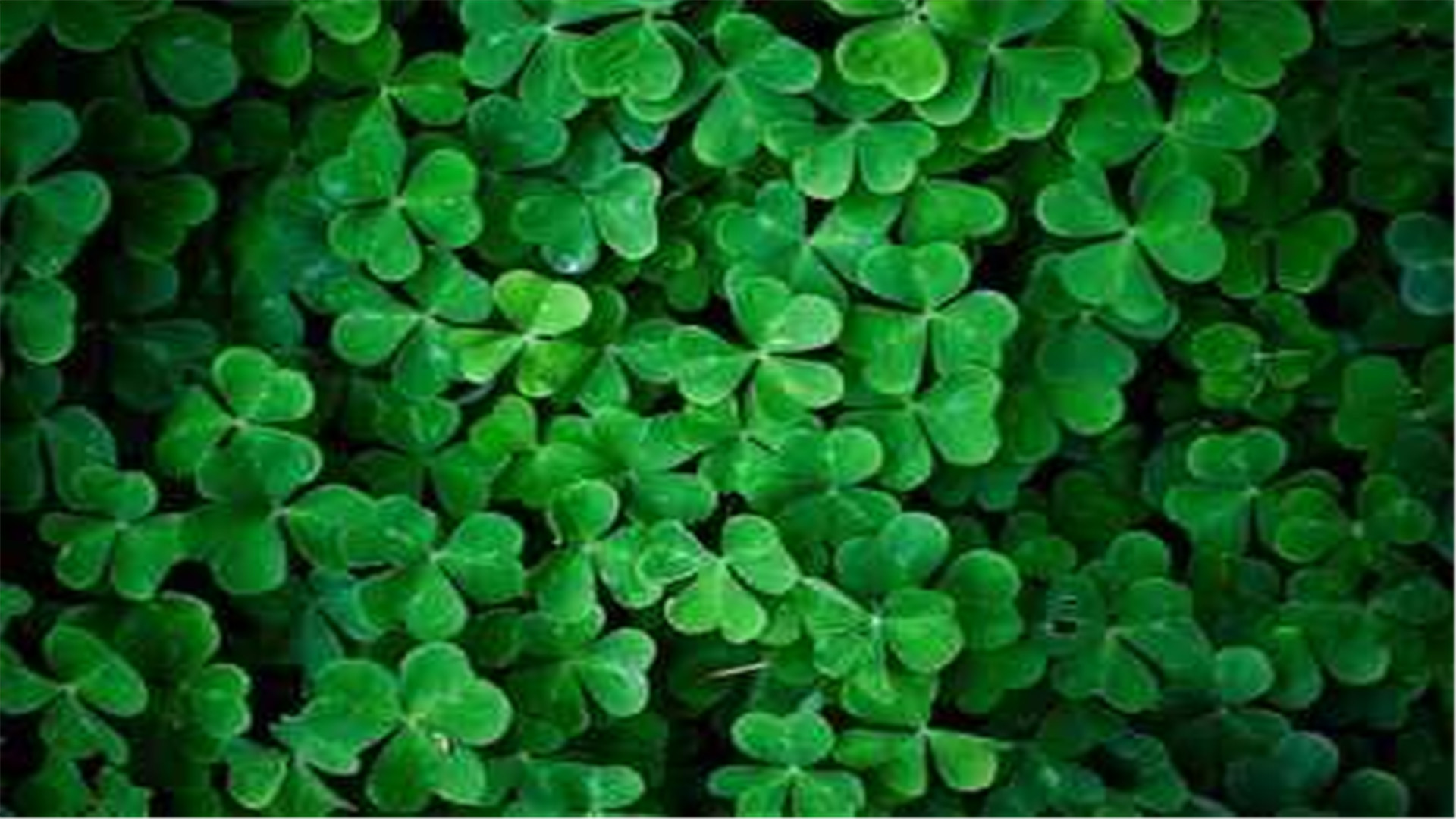 蓝色护眼壁纸唯美图片,最美的护眼桌面壁纸