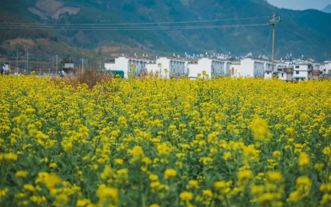 江西婺源秋季风景区有哪些景点,江西婺源景区开放