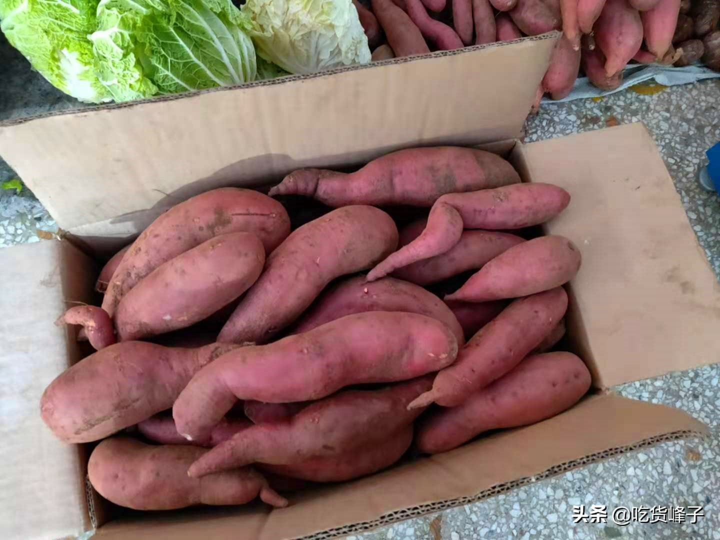 红薯如何保存才不会烂不会发芽,自家种的红薯太多了怎么保存过冬