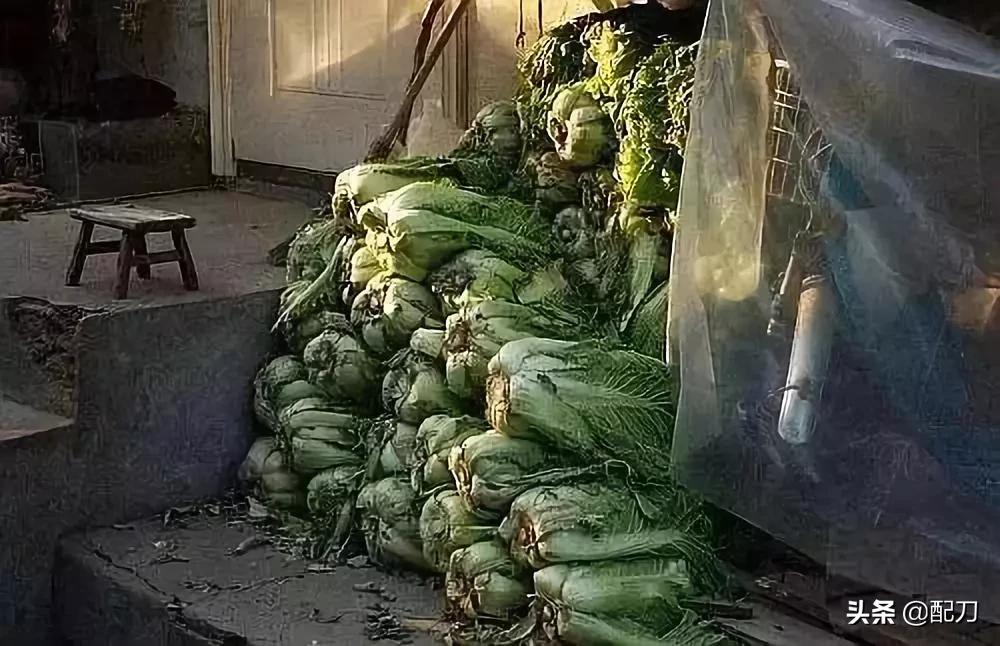 旧城往事呼和浩特,呼市旧城往事完整版