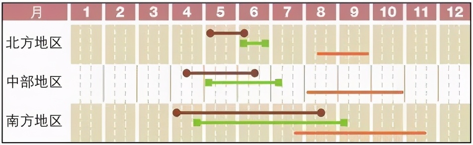 苦瓜开花坐果长不大怎么回事,苦瓜为什么老是开雄花不开雌花