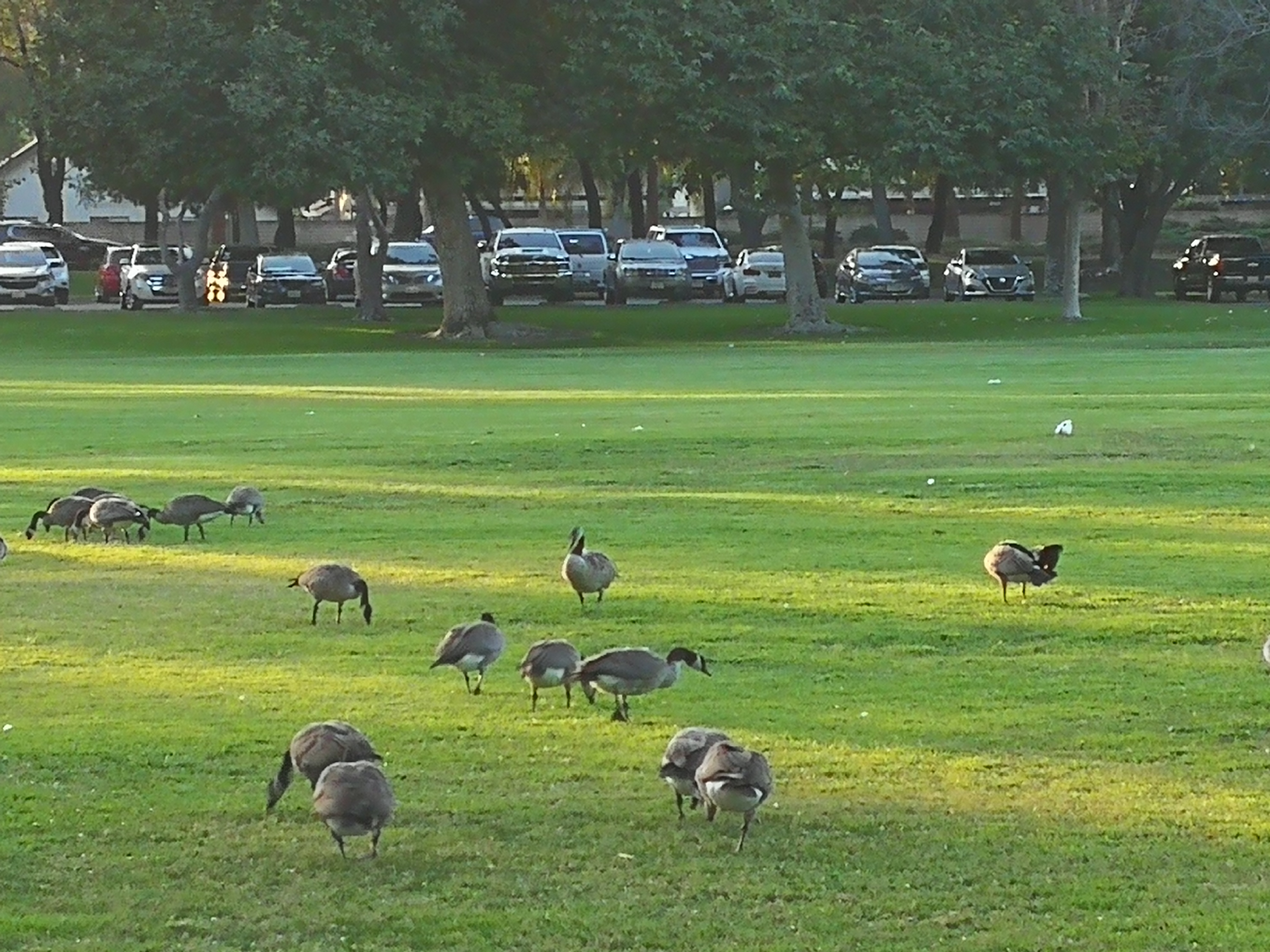 买理财产品银行打电话来问资金,买银行理财产品看什么指标